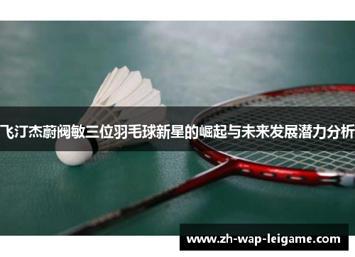 飞汀杰蔚阀敏三位羽毛球新星的崛起与未来发展潜力分析 飞汀杰蔚阀敏三位羽毛球新星的崛起与未来发展潜力分析