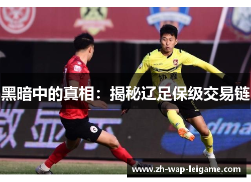 黑暗中的真相:揭秘辽足保级交易链 黑暗中的真相:揭秘辽足保级交易链